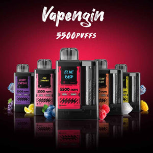 Vapengin Disposable Pod | 5500 Puff Rechargeable | 5%